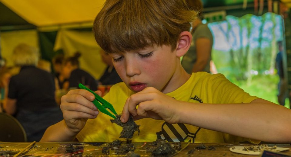 uilen ballen pluizen kids