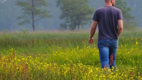 wandelexcursie It Fryske Gea