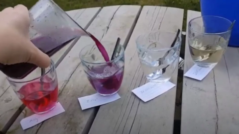 watertest met rode kool
