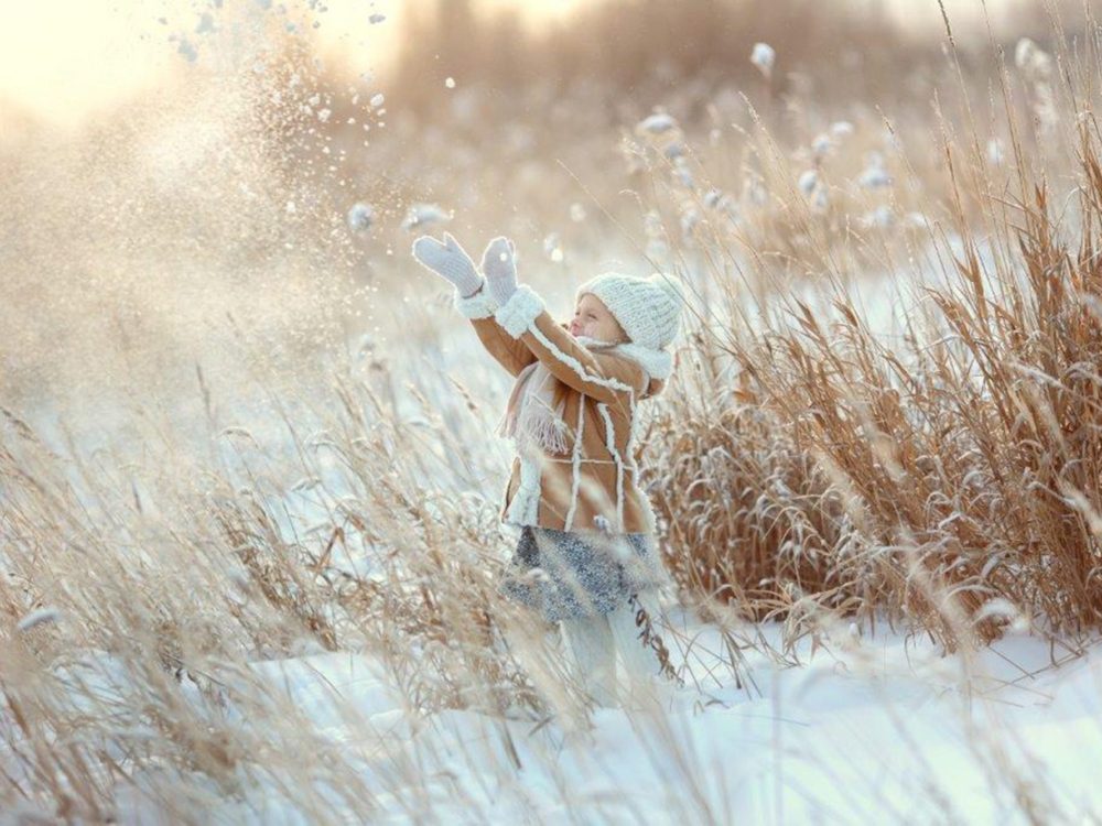 Winterplaat It Fryske Gea