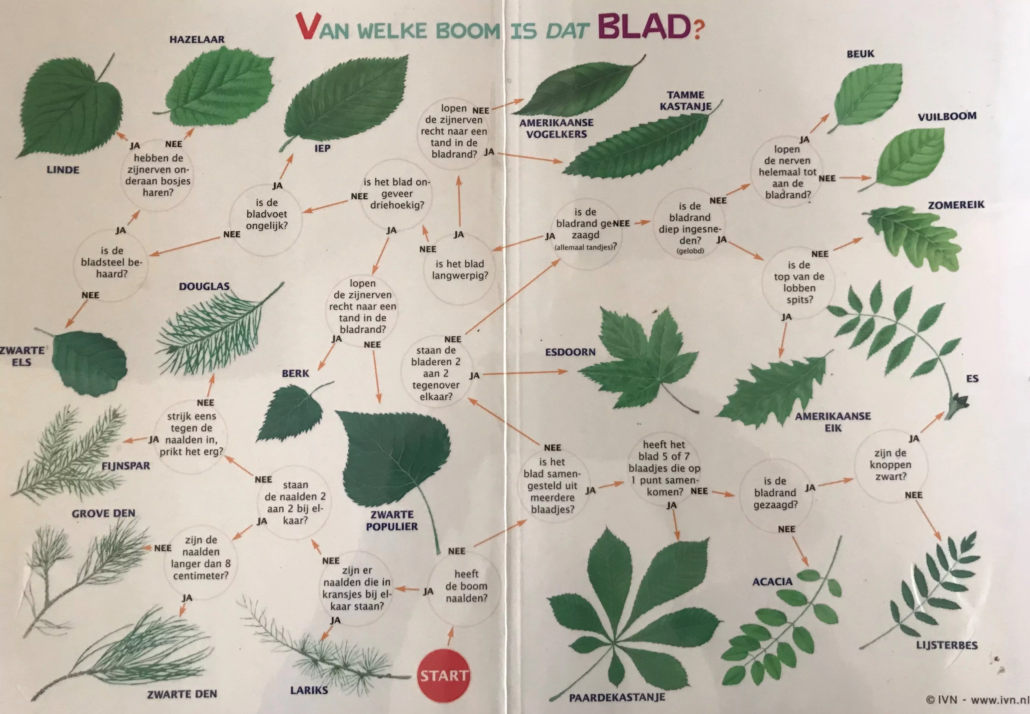 bomen zoekkaart
