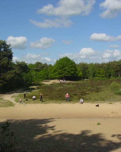 Bakkefeansterdunen