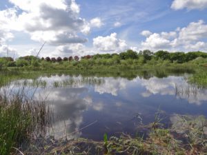 pingoruine diakonievene