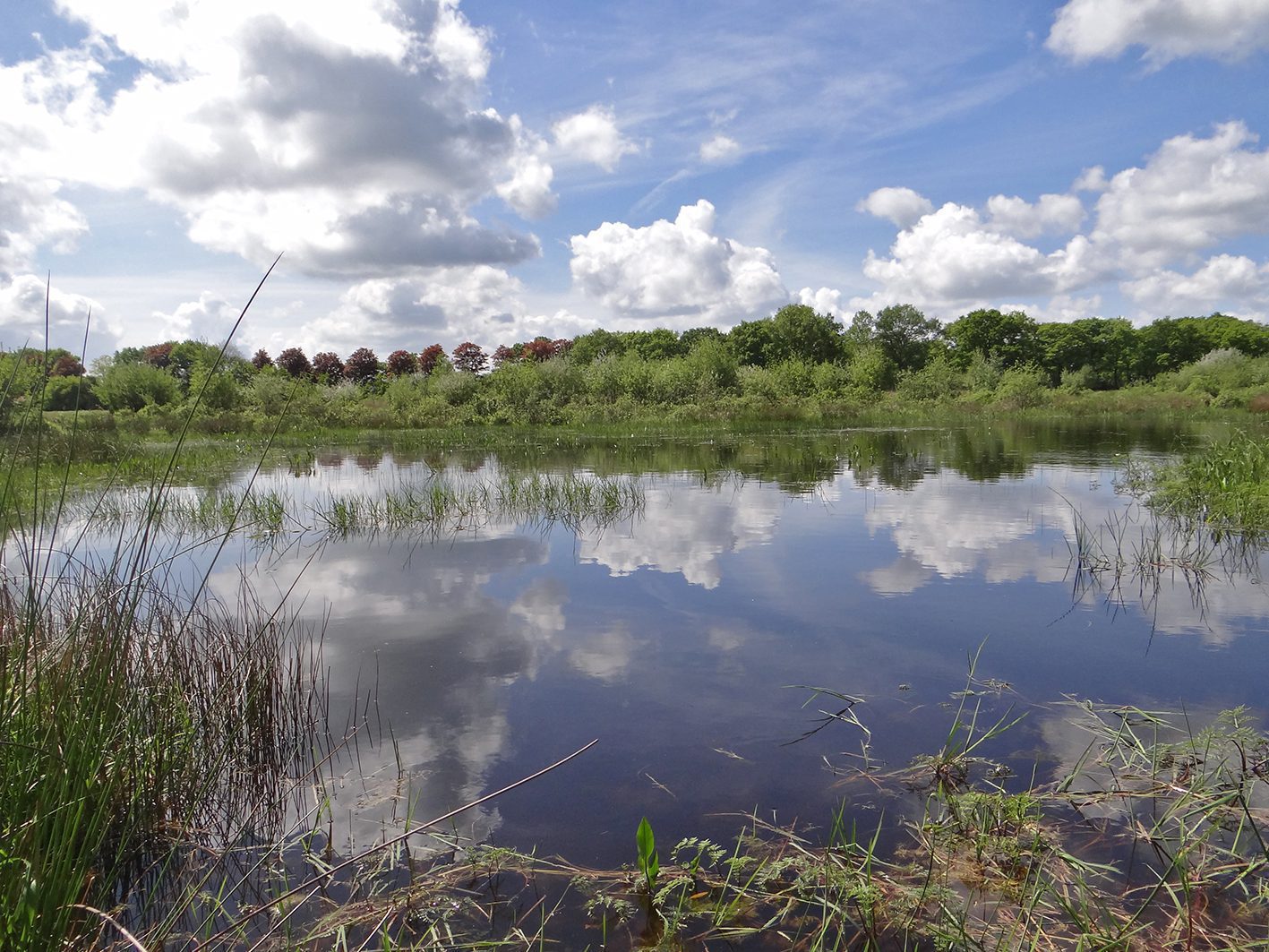 pingoruine diakonievene