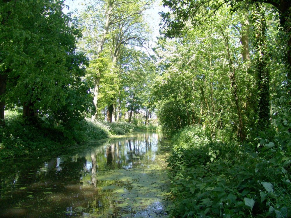 Park Jongemastate