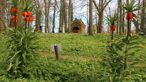 Gebied: Park Jongemastate