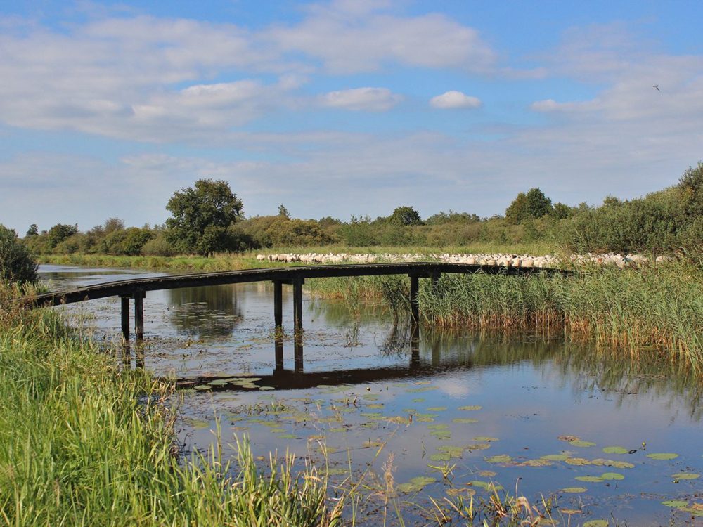 lendevallei