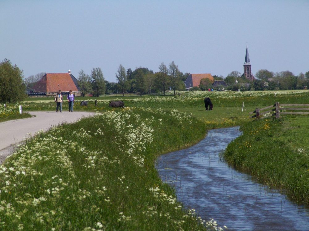 slachtedyk Reahús