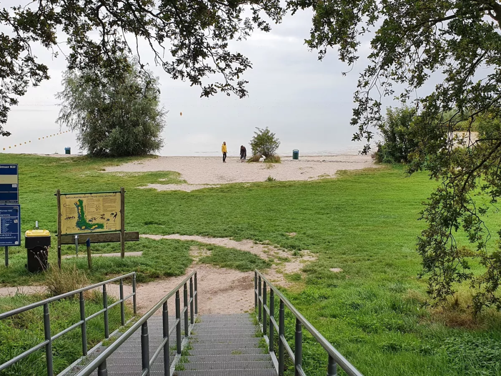 murnzerklif rysterbosk