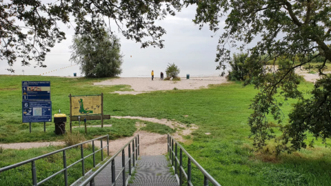 murnzerklif rysterbosk