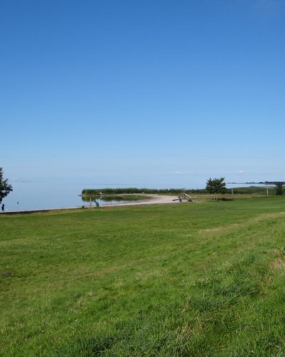 mirnserklif