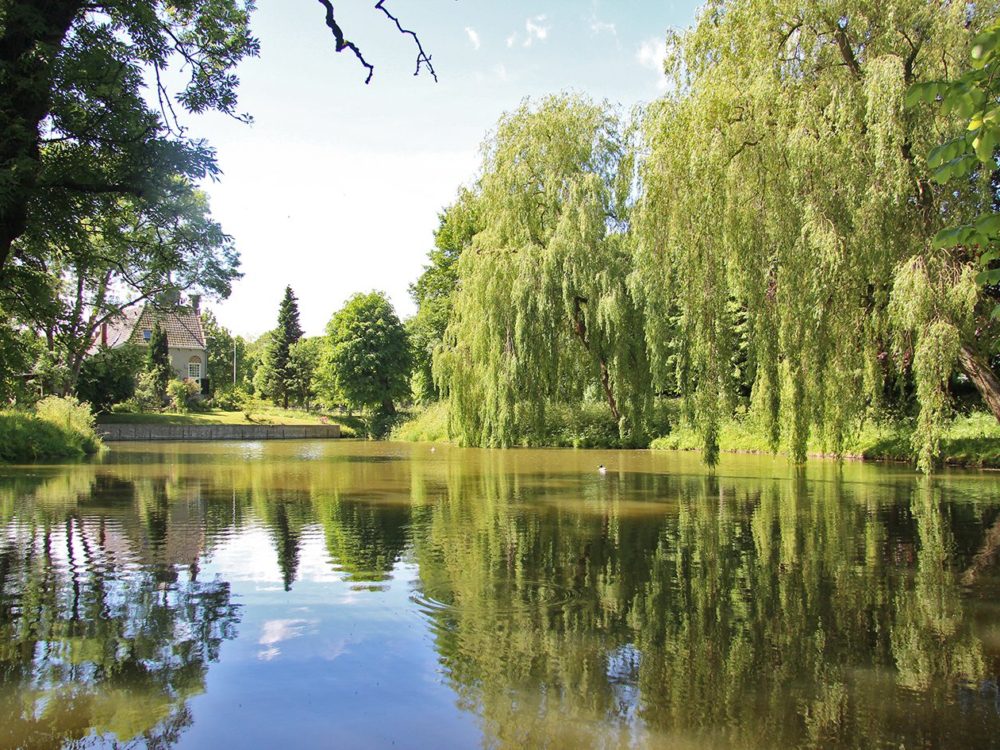 Landgoed Martenastate