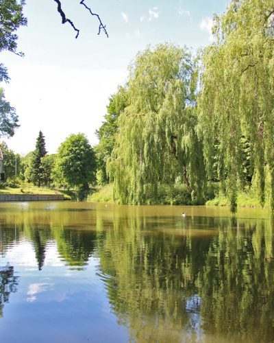 Landgoed Martenastate