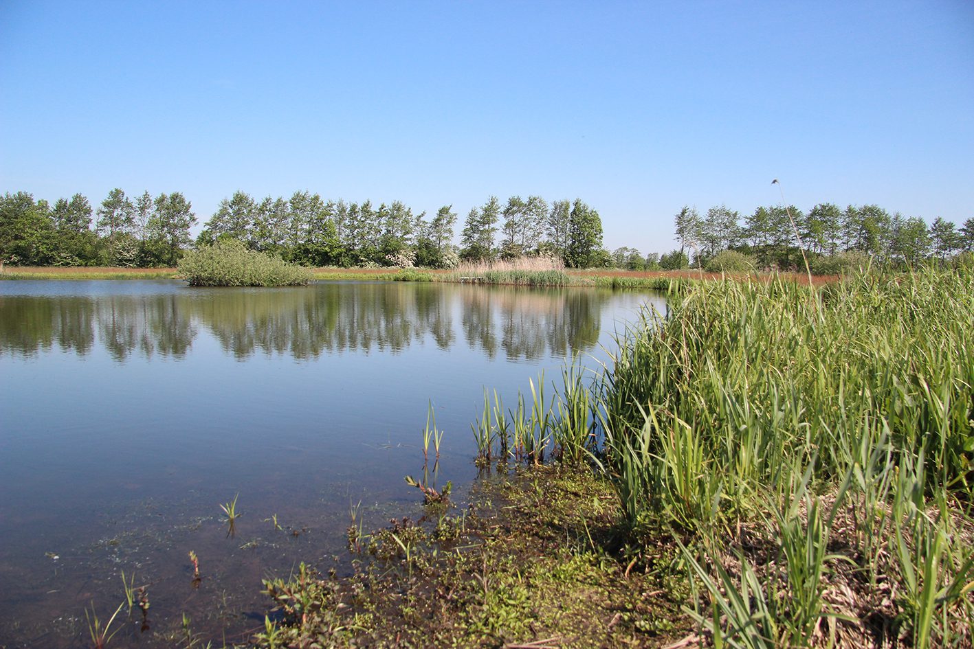 pingoruine dobben hurdegarypsterwarren