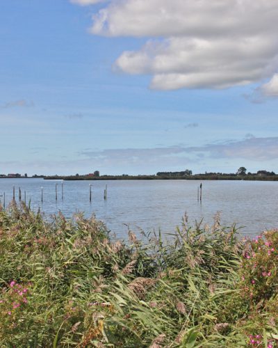 ringwiel en hop