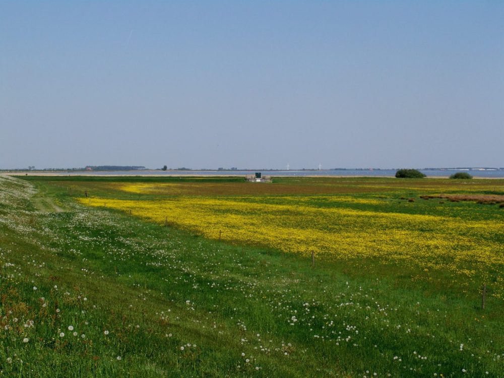 Huitebuersterbûtenpolder