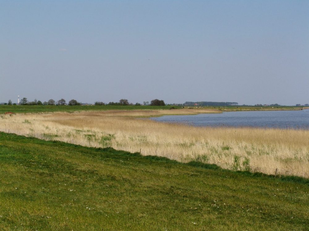Huitebuersterbûtenpolder