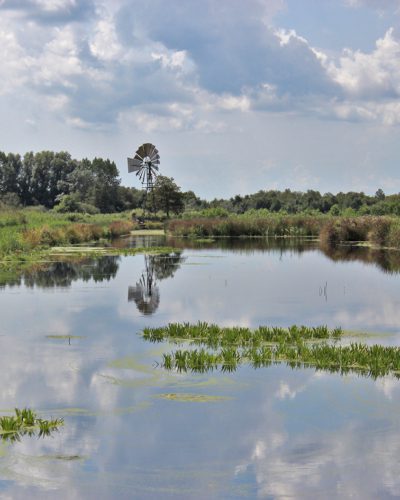 Het Lage Midden