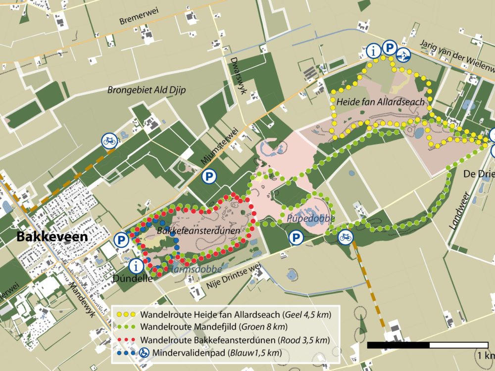 Bakkefeansterdunen kaart