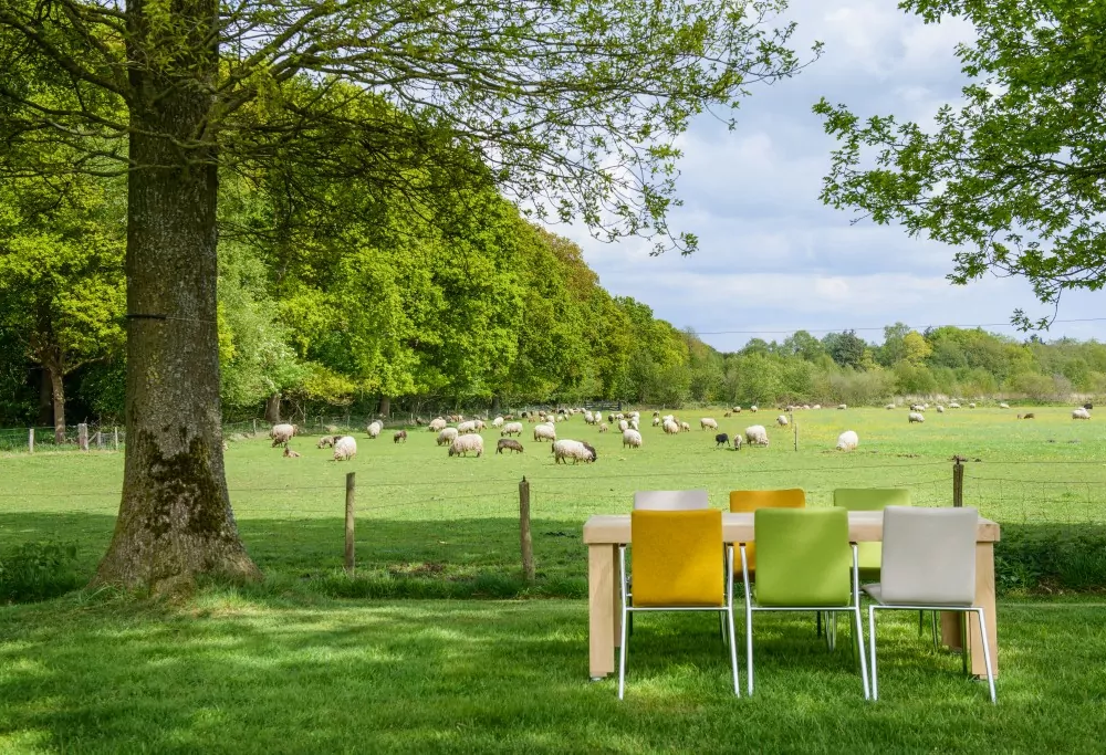 schaapskooi bakkeveen