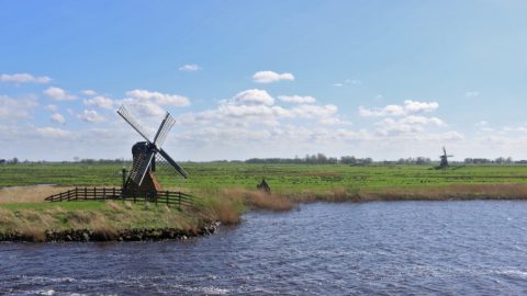 Bericht: Nationaal Natuurnetwerk: de tijd van vrijblijvendheid is voorbij