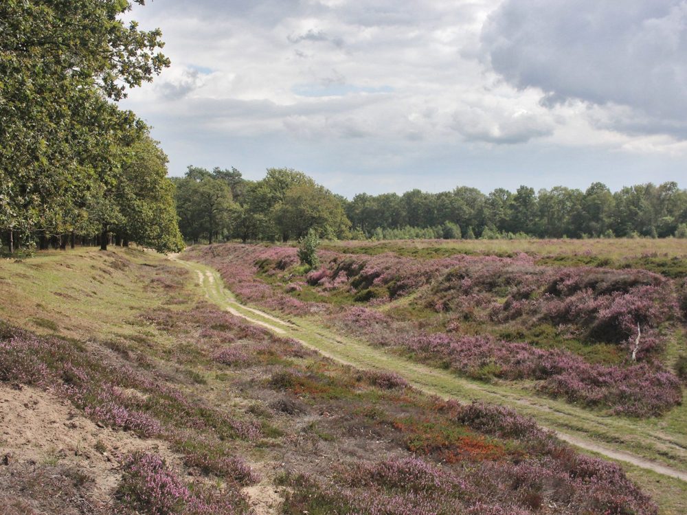 holle weg allardseach mandefjild