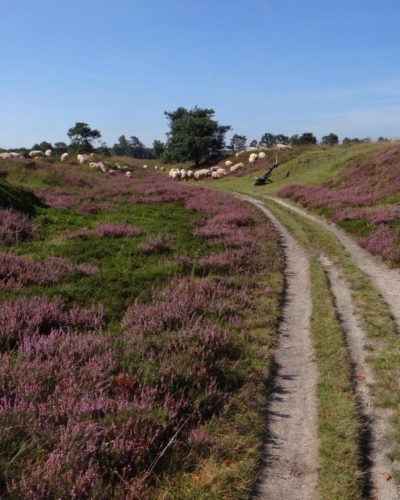 holle weg allardseach mandefjild