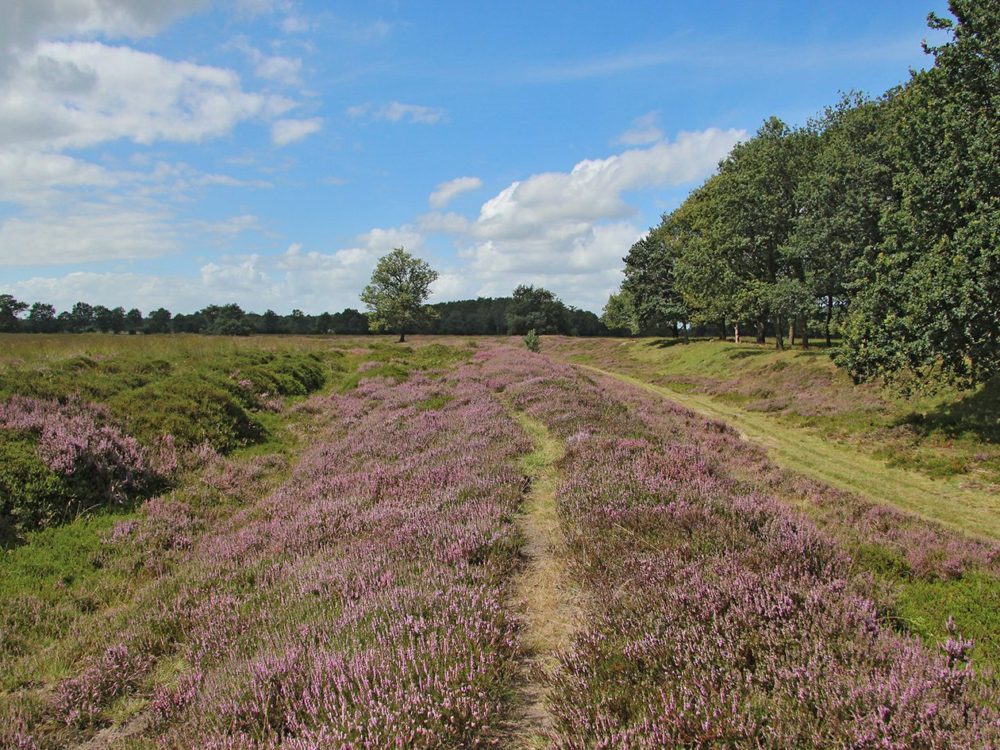 holle weg allardseach mandefjild