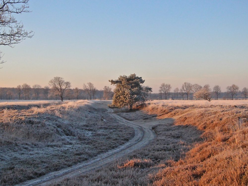 holle weg allardseach mandefjild