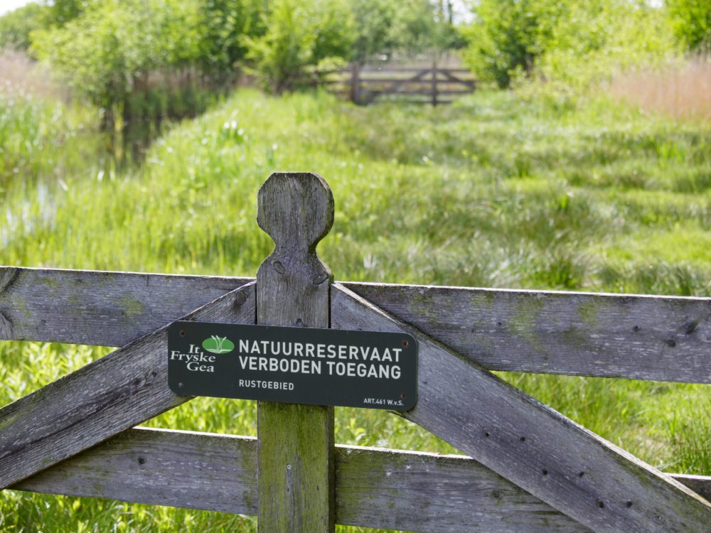 alde feanen