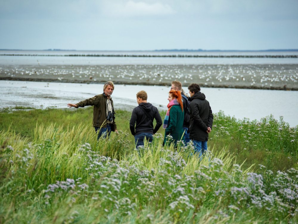 vrijwilliger it fryske gea