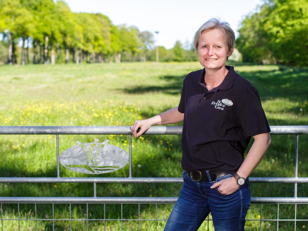 personeel it fryske gea
