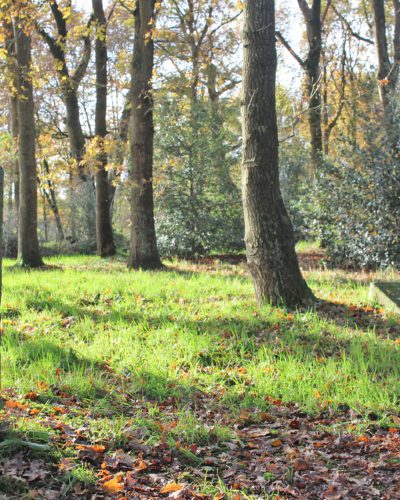 Joodse begraafplaats Noordwolde