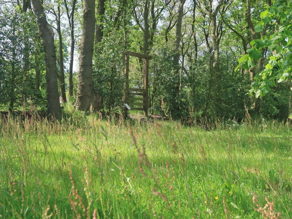 Joodse begraafplaats Noordwolde