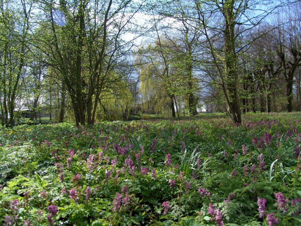 landgoed martenastate