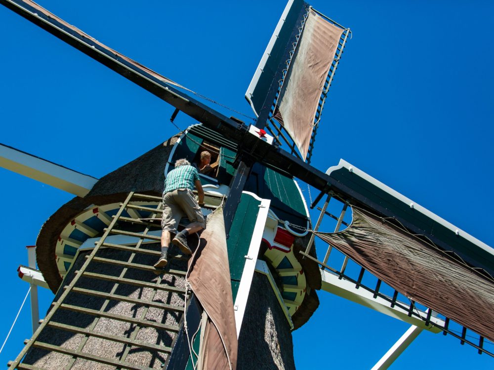 Molen De Gooijer