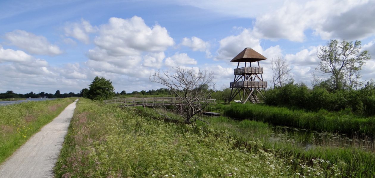 alde feanen uitkijktoren romsicht