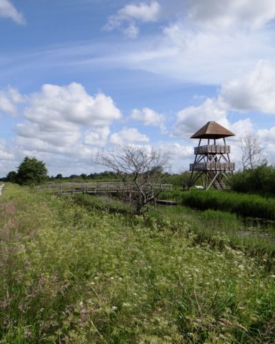 alde feanen uitkijktoren romsicht