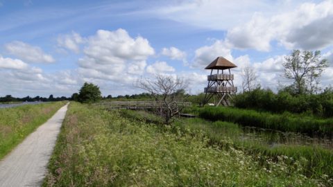 alde feanen uitkijktoren romsicht