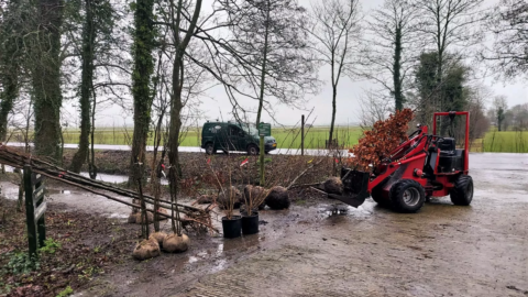Herstelwerkzaamheden Park Jongemastate