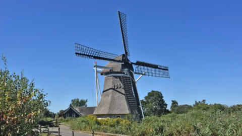 Molen de Gooijer