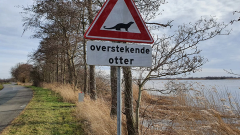 waarschuwingsbord otter