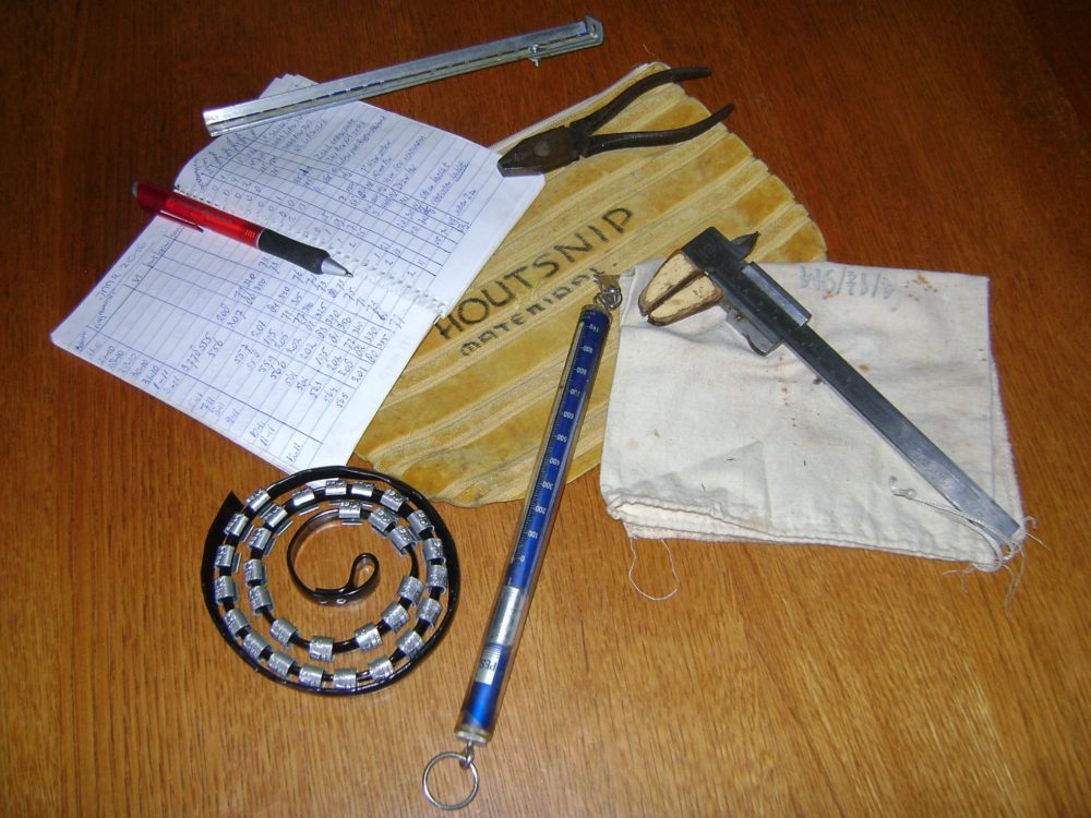 Snippenflouw Rysterbosk
