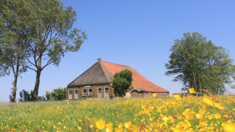 Bericht: It Fryske Gea stelt voorkeursvariant vast voor toekomst It Kathûs