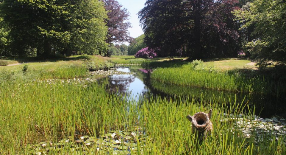 park huize olkterterp