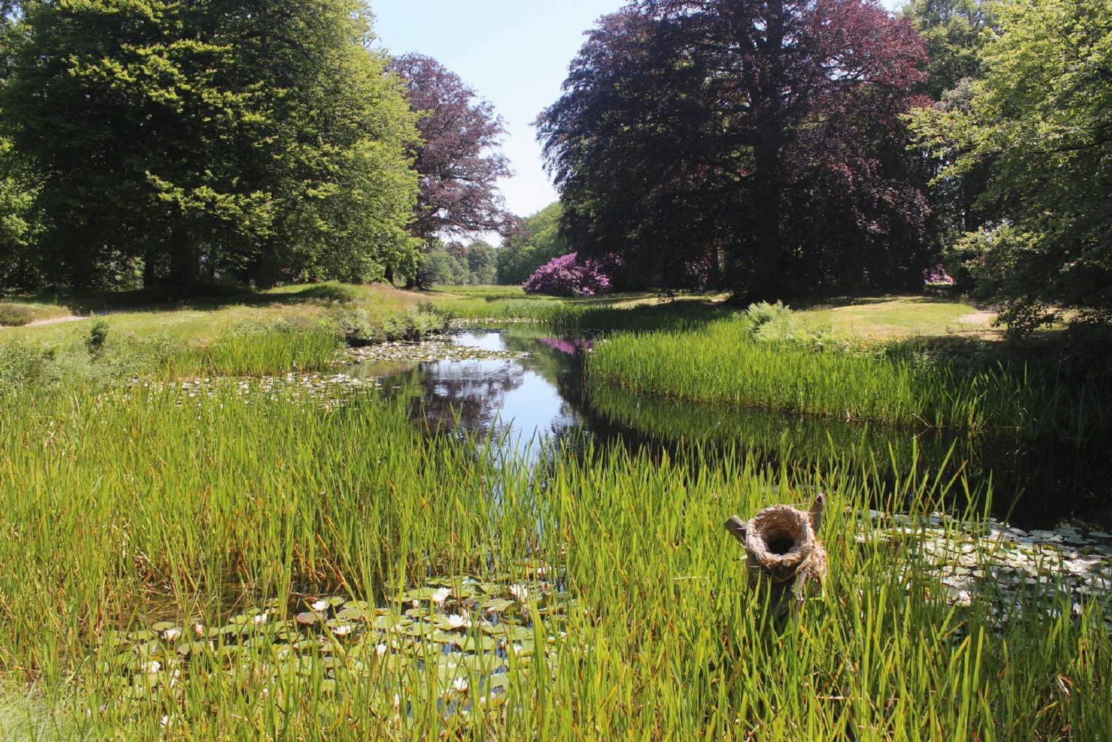 park huize olkterterp