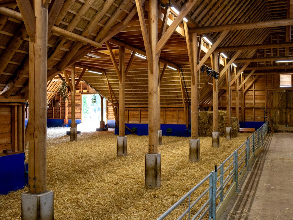 schaapskooi