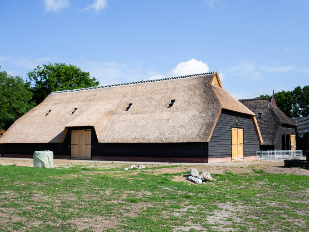 schaapskooi
