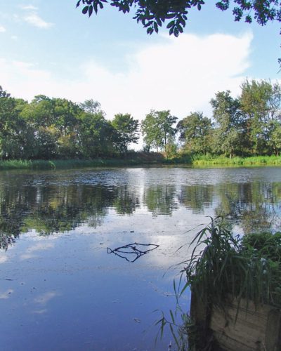 van asperen einekoai