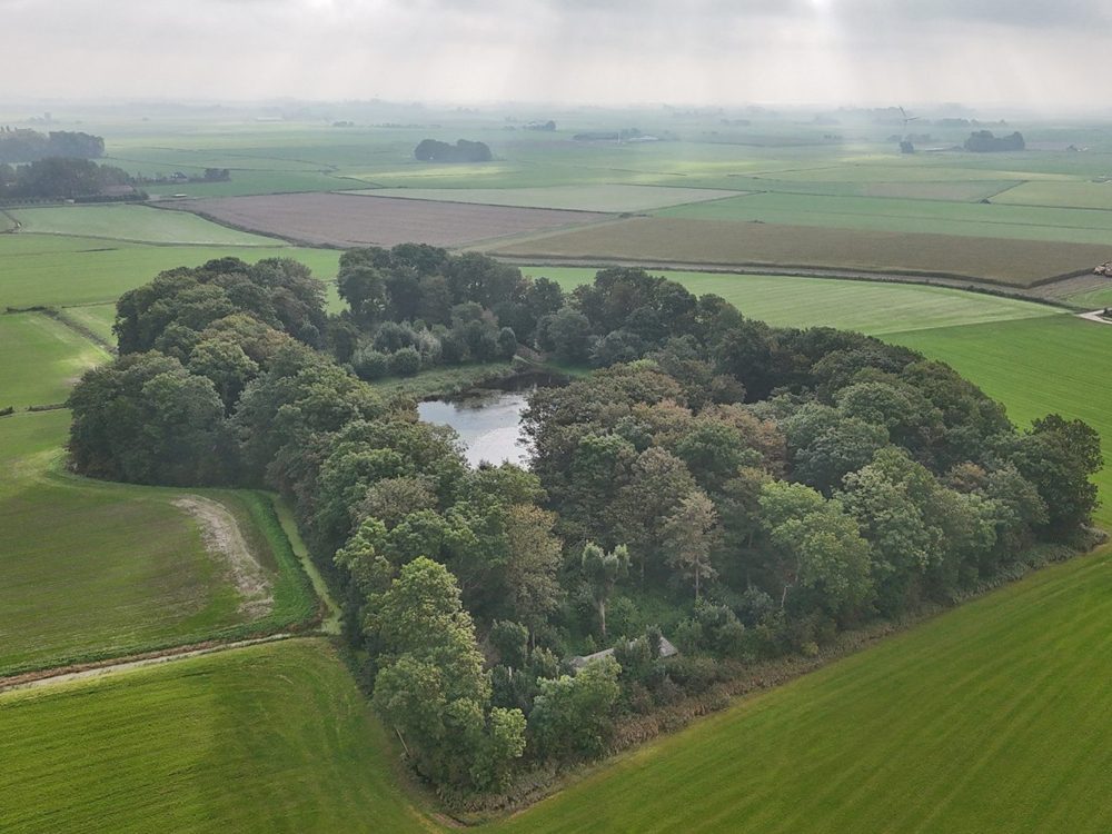 buismanskoai piaam